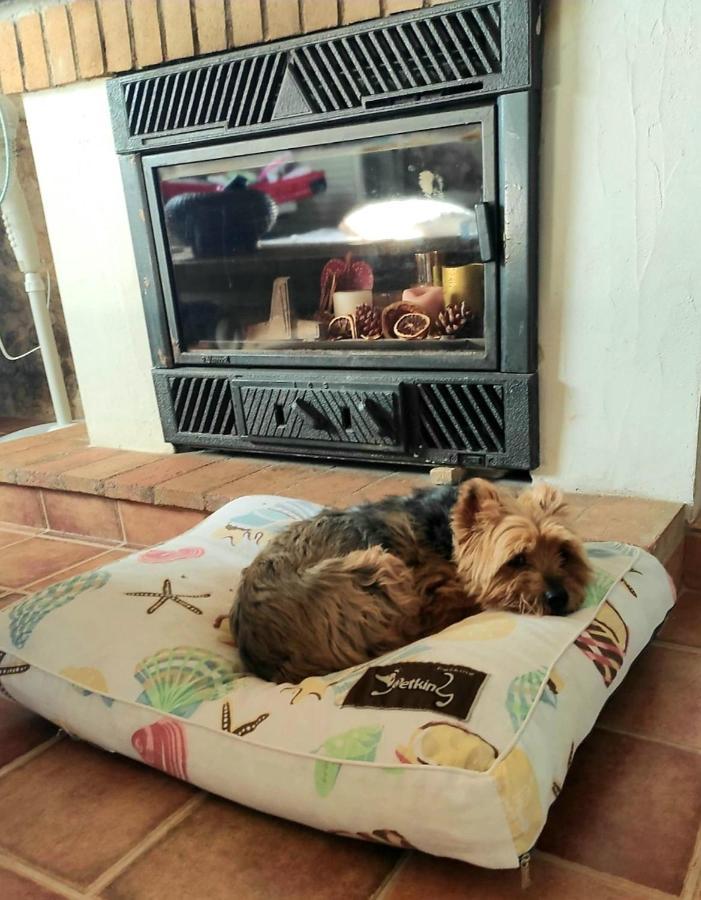 La Ultima Casa Masboquera Villa Mas Boquera Eksteriør billede